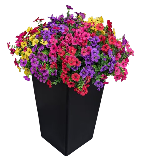 ei_1772069737377-removebg-preview