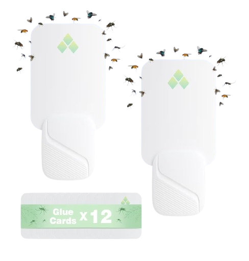 ei_1773428136567-removebg-preview