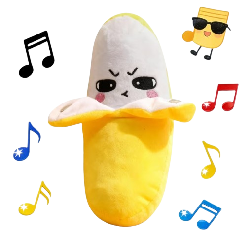Sensory Toy
