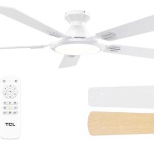 Ceiling Fan