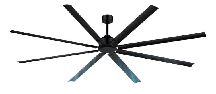 Ceiling Fan