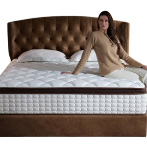 Queen Mattress
