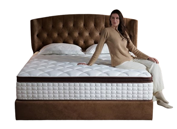 Queen Mattress