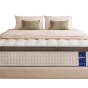 Queen Mattress