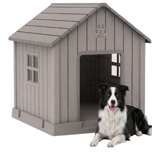 Big Dog House