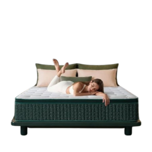 Queen Mattress