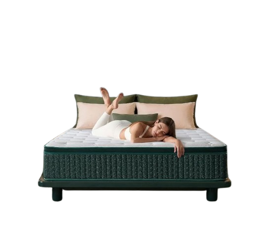 Queen Mattress