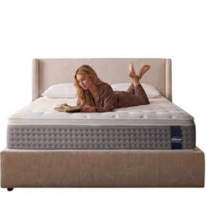 Queen Mattress